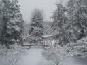 Snow Day at the Hun School : 2003 12 05